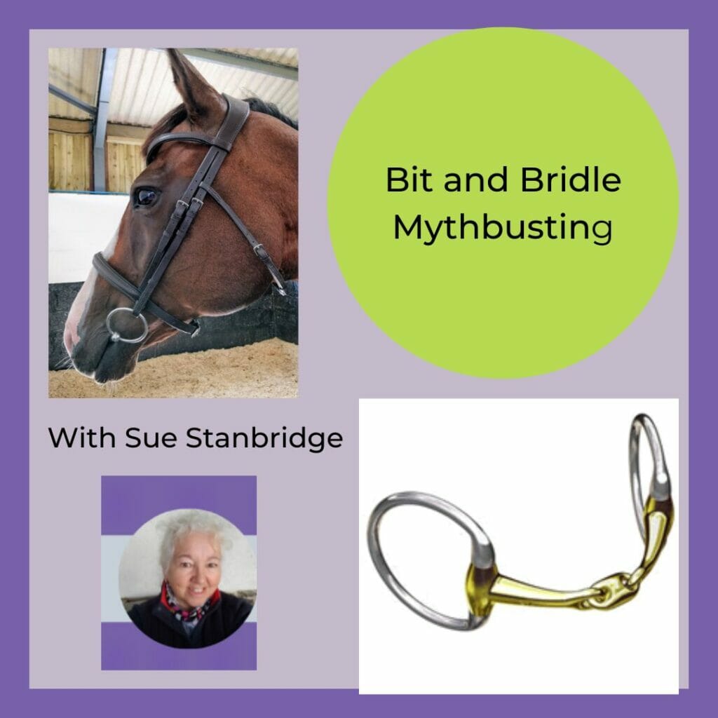 Myths And Misconceptions Surrounding Bit And Bridle Fitting