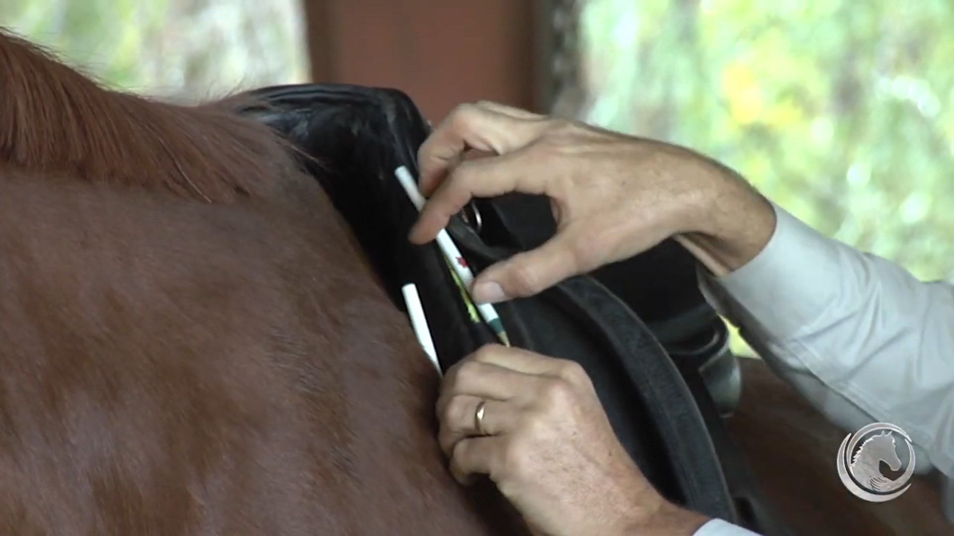 6 Signs Your Saddle Doesn’t Fit