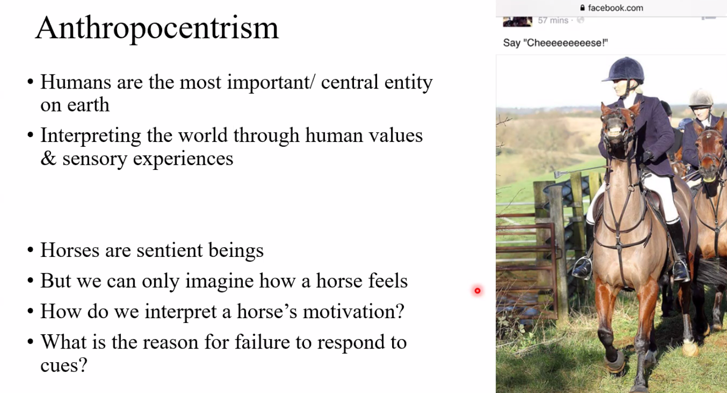 Anthropocentrism in Horse Welfare Philosophies