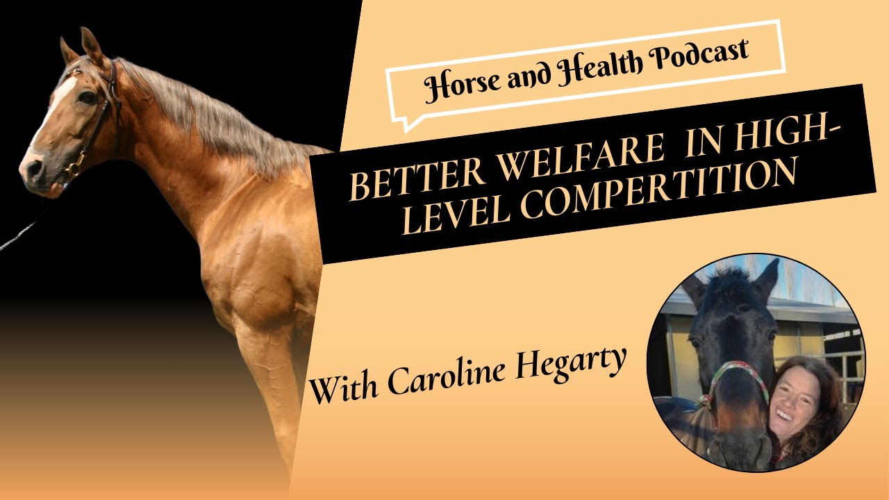 Championing Horse Welfare in High-Level Competition!
