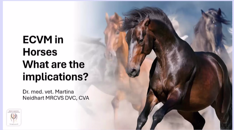 ECVM in Horses – What are the implications?