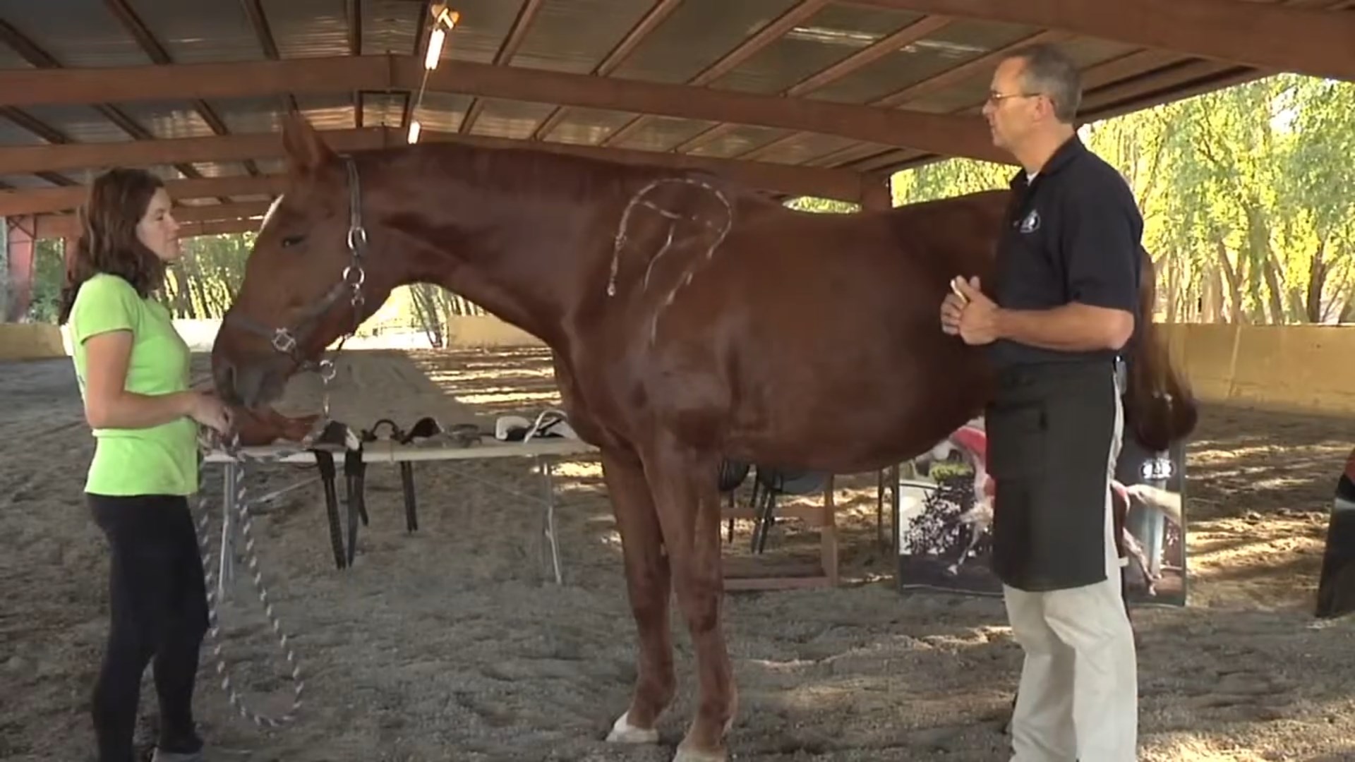 Saddle Fit Basics: Protecting Your Horse from Ill-Fitting Tack