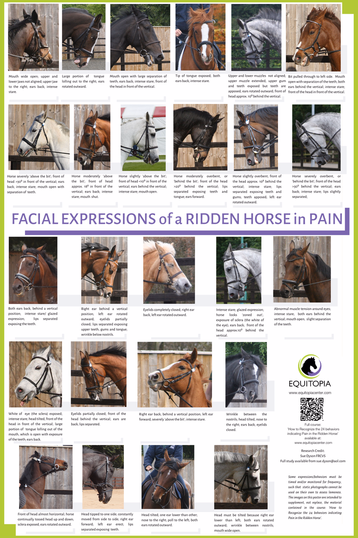 Welfare & Emotional State Awareness