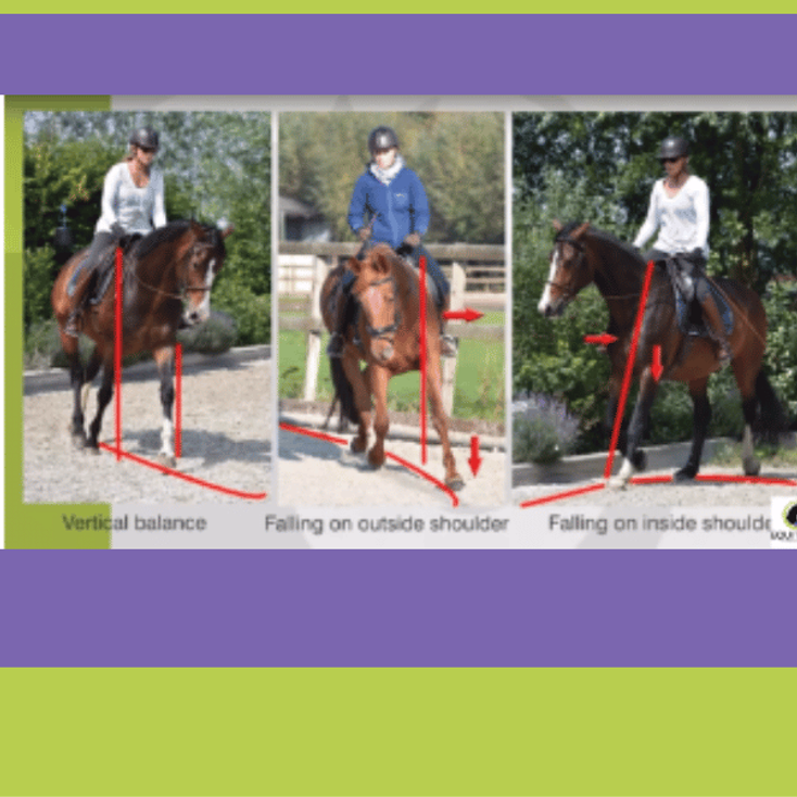 Biomechanics, Anatomy & Physical Capability