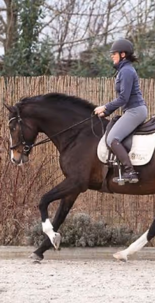 specialist riding the horse