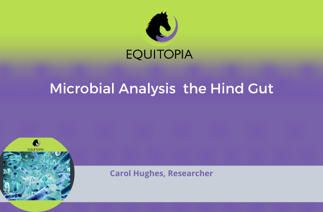 Webinar 17: Microbial Analysis of the Hind Gut