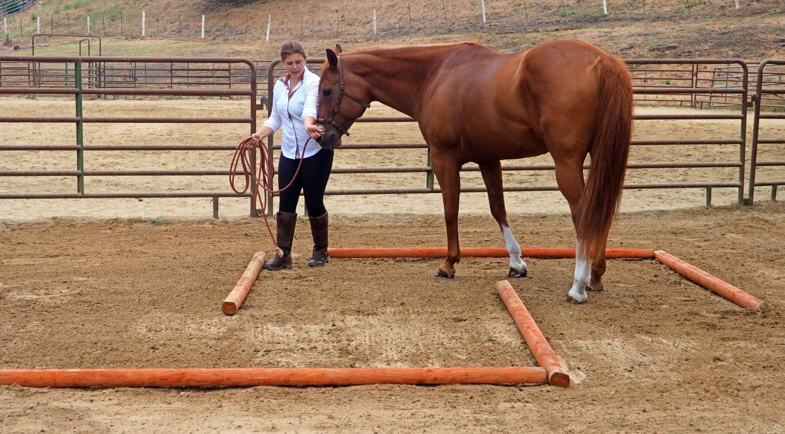 ground pole exercies