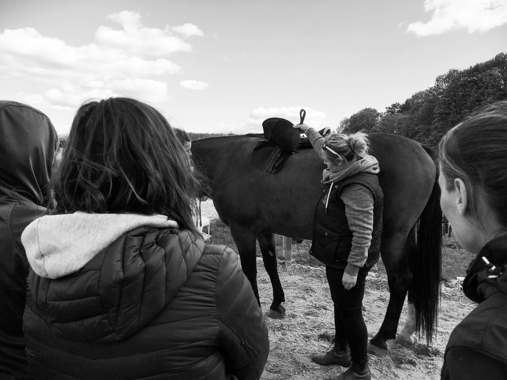 How Well Does your Saddle Fit?