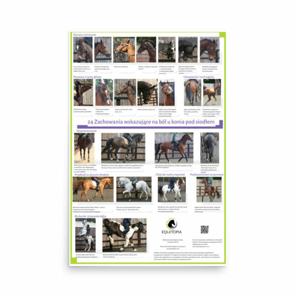 equine posters