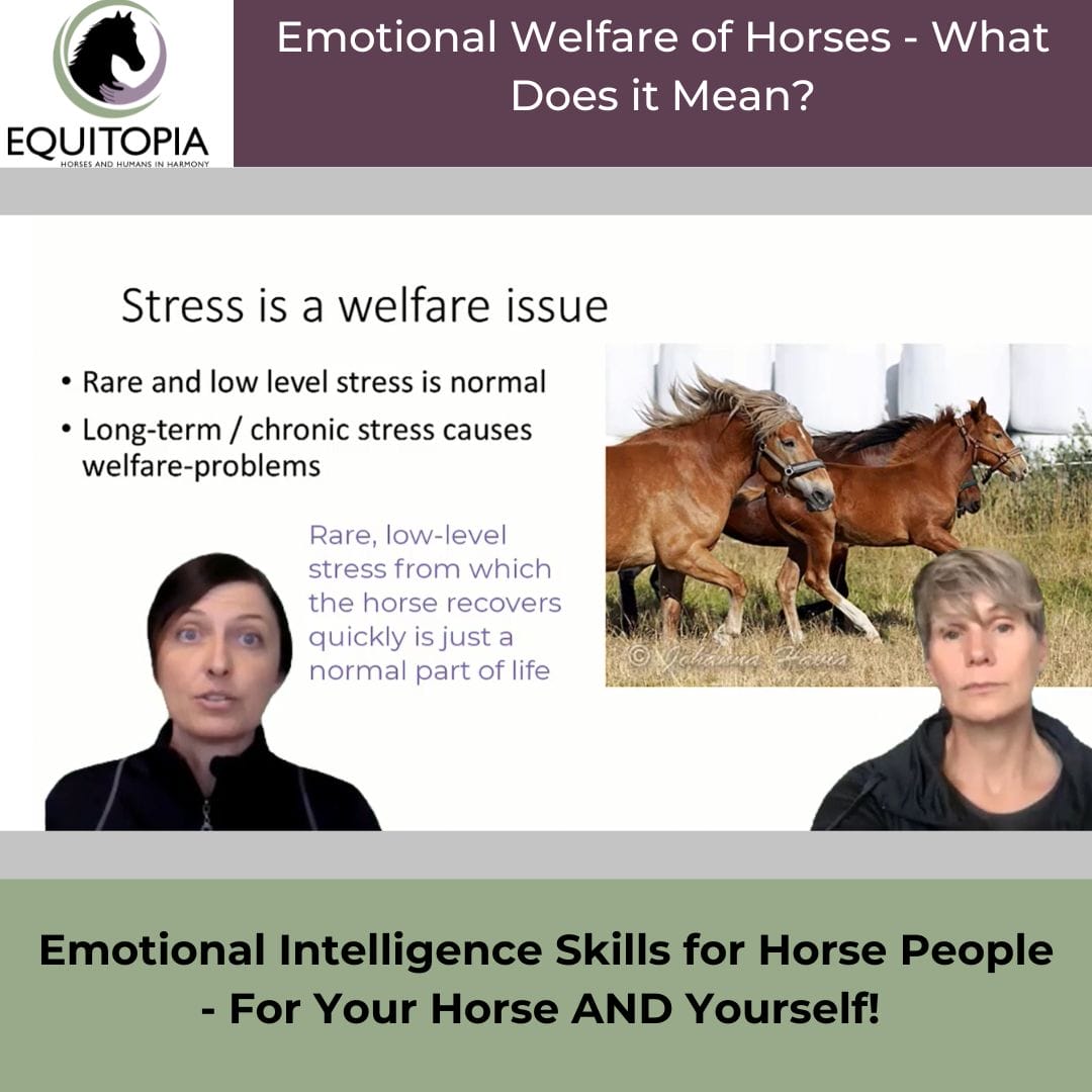 emotional horsemanship