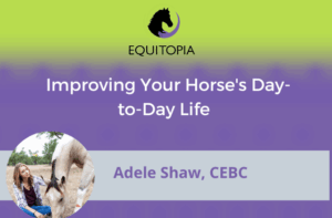 Webinar 58: Improving Your Horse's Day-to-Day Life