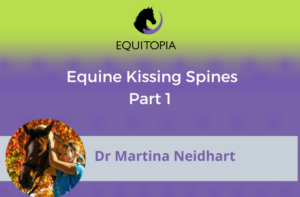 Webinar 59: Equine Kissing Spines (Part 1)