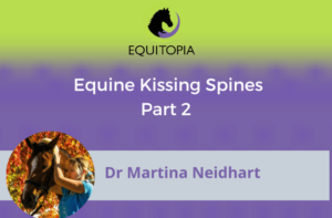 Webinar 60: Equine Kissing Spines (Part 2)