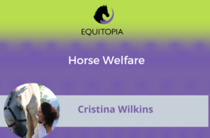 Webinar 61: Horse Welfare