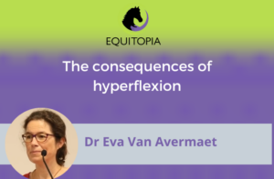 Webinar 63: The Consequences of Hyperflexion